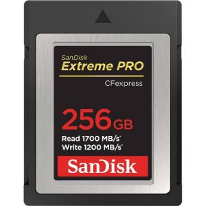 SanDisk 256GB Extreme PRO CFexpress Card(SDCFE-256G-GN4NN)